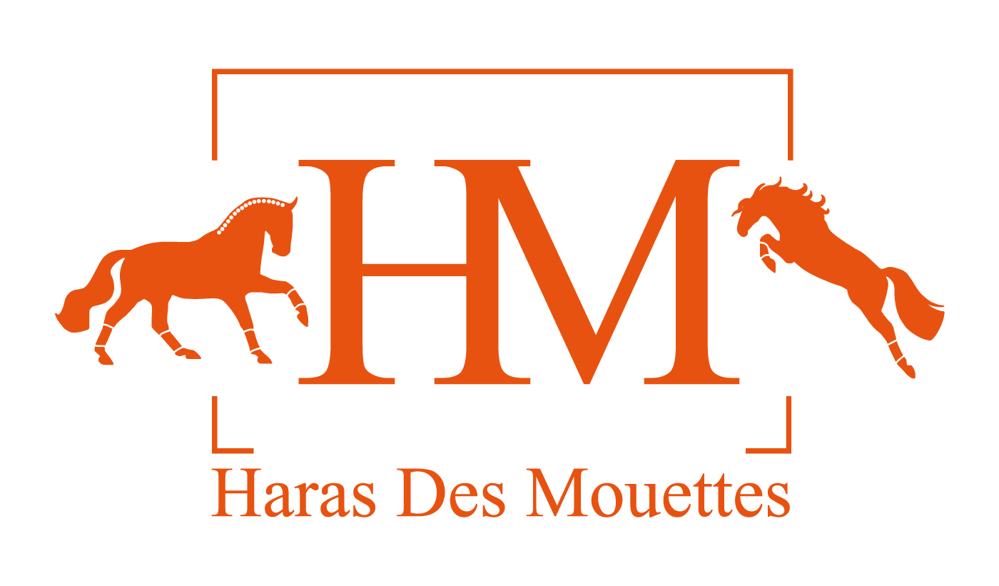 logo haras des mouettes