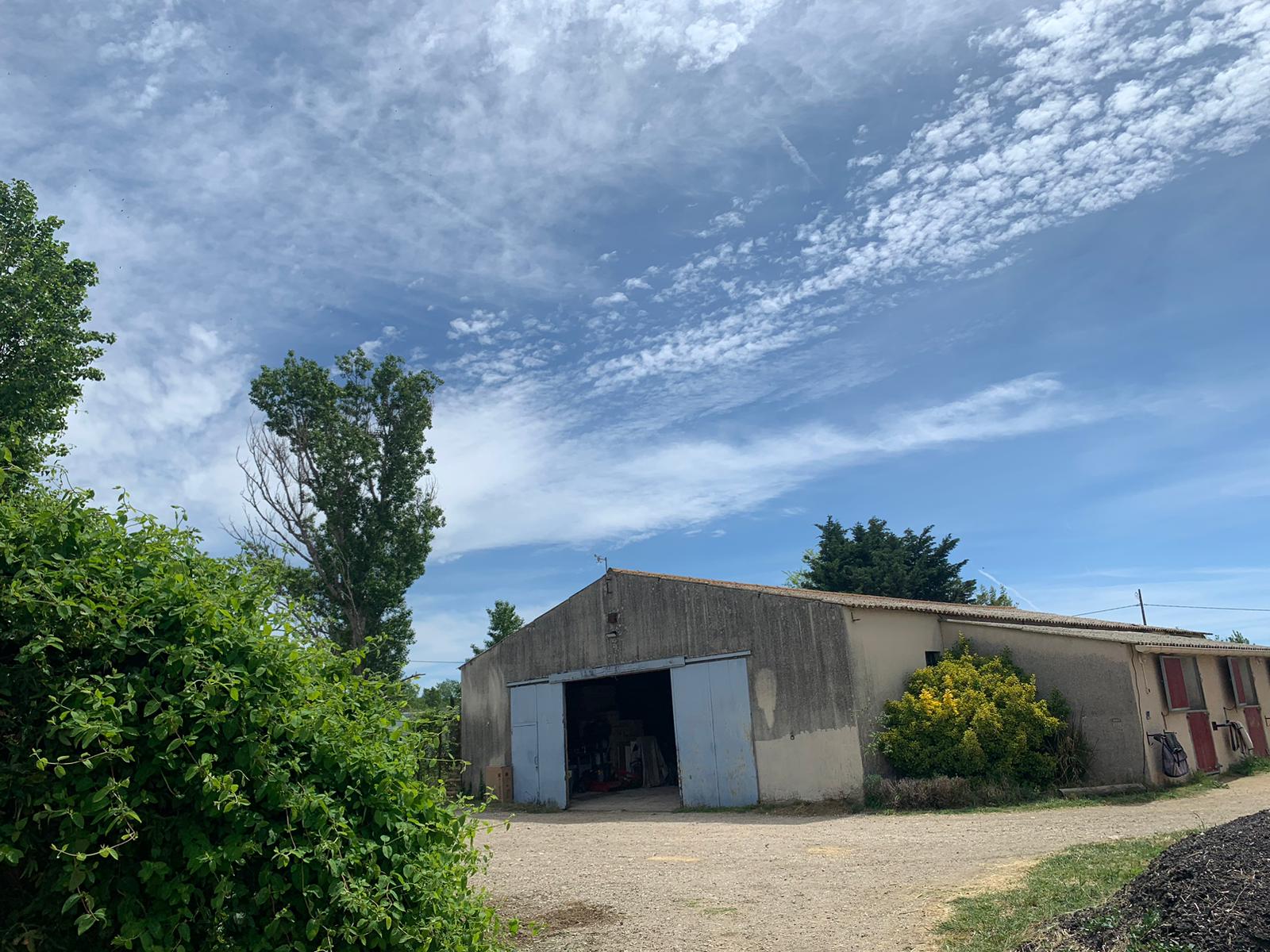 Une histoire de famille et de cavaliers